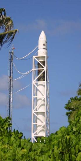 falcon-1.jpg