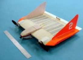 mite-2.jpg