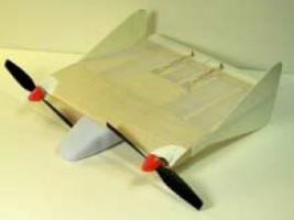mite-3.jpg